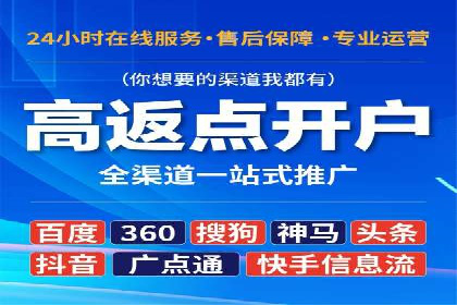 某某SEM团队成功案例：广告投放策略揭秘